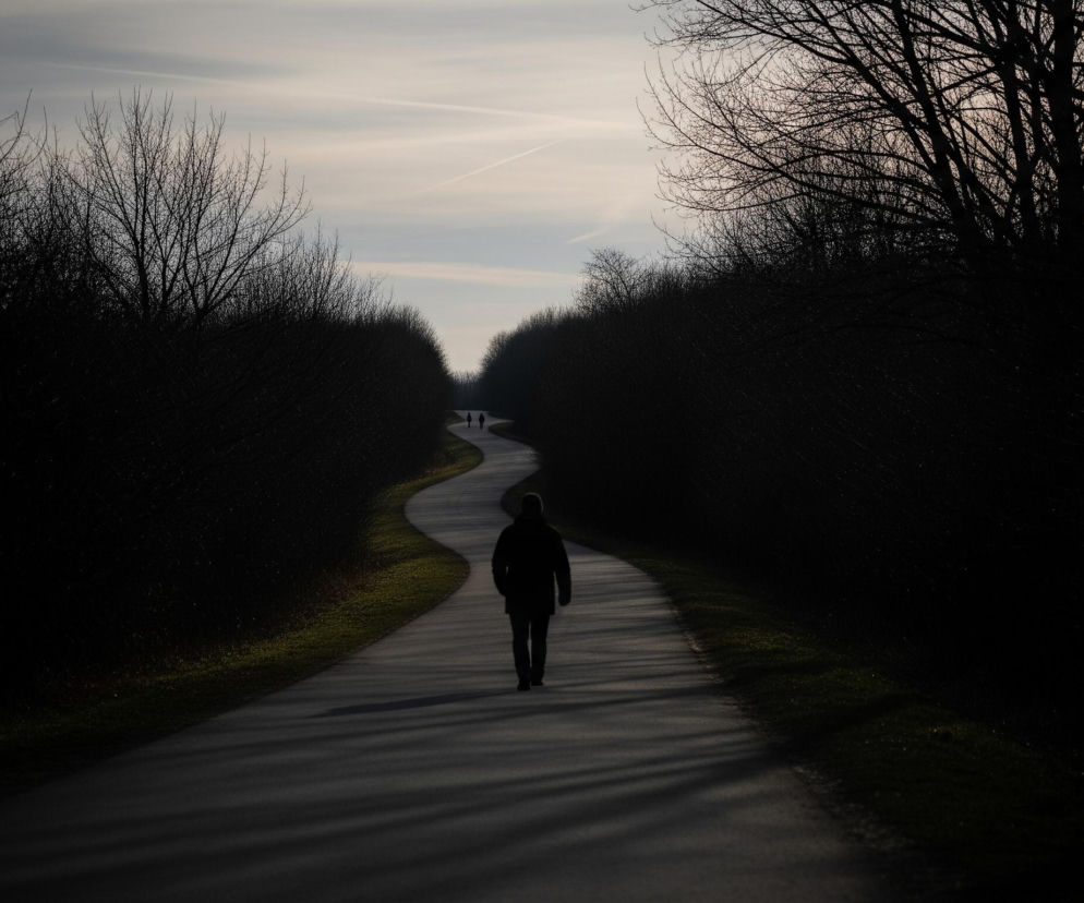 Pojedyncza sylwetka człowieka, ubrana w ciemną kurtkę i spodnie, idzie krętą asfaltową ścieżką, oddalając się w głąb kadru. Po obu stronach ścieżki ciągną się rzędy bezlistnych, ciemnych drzew i krzewów, tworząc tunel, z wyraźnym prześwitem nieba w oddali. Niebo jest jasne, błękitno-szare, z cienkimi smugami chmur i wyraźnym śladem kondensacji samolotowej, podczas gdy na drodze widoczne są cienie gałęzi.