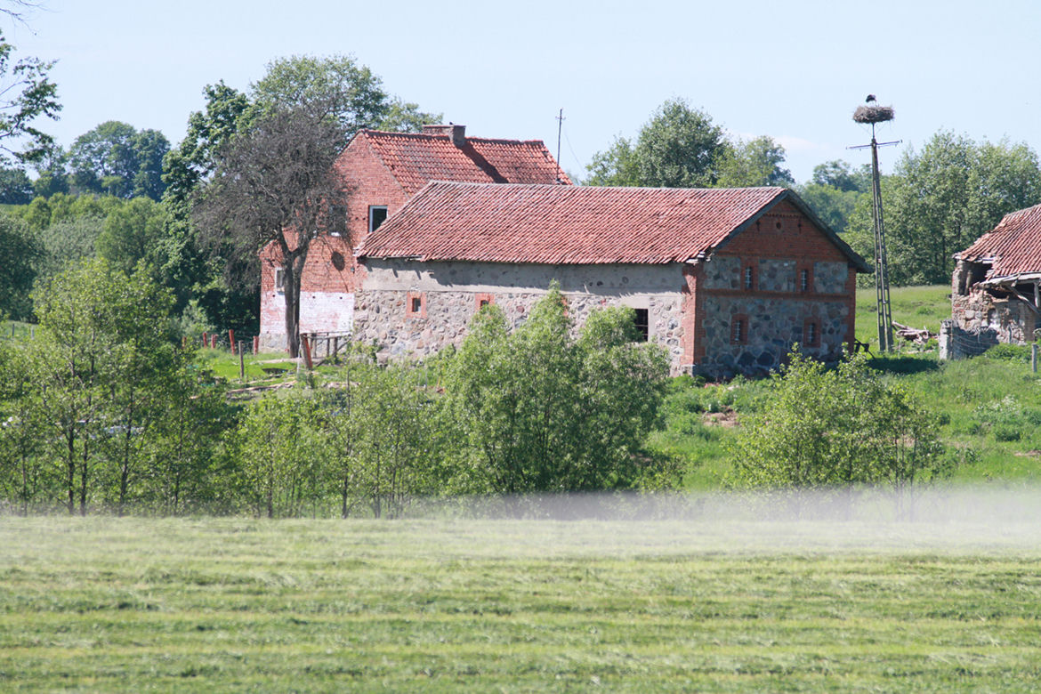 Nawiedzona szamanka głodzi zwierzęta