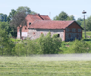 Nawiedzona szamanka głodzi zwierzęta