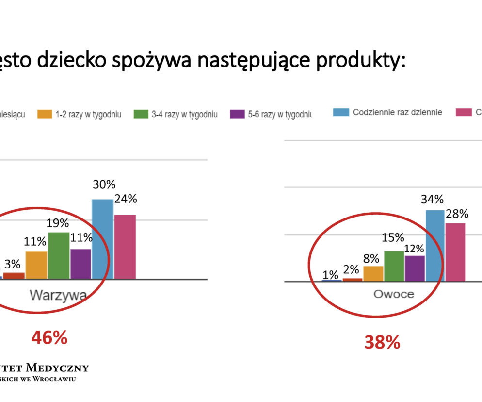 Wyniki badań akcji Uruchamiamy dzieciaki