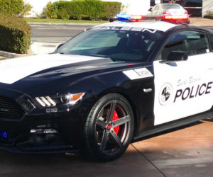 Saleen S302 Black Label Mustang