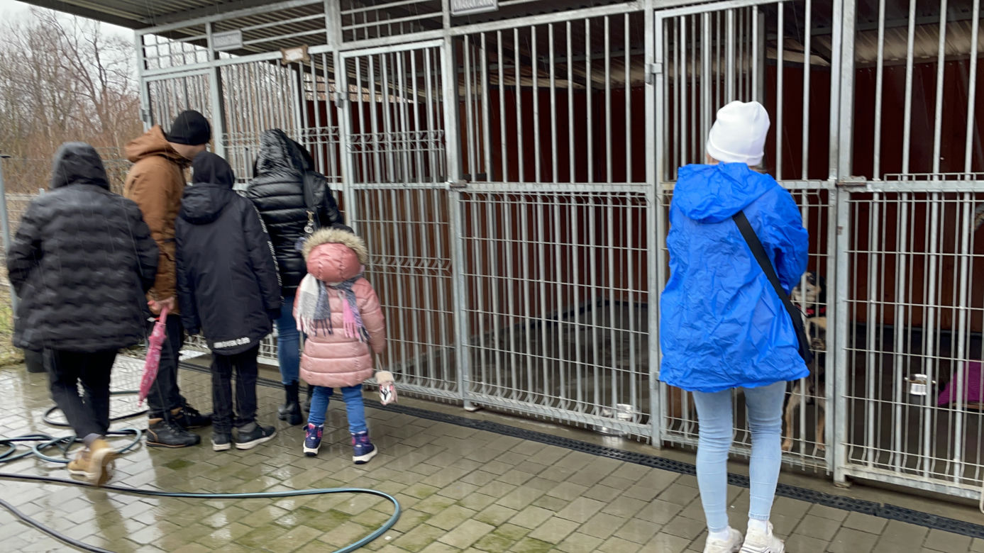 Dzień otwarty w schronisku dla zwierząt w Nowym Sączu