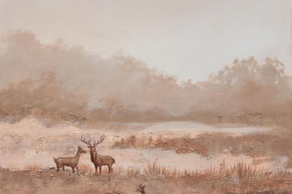 Twórczość Magdaleny