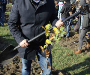 Sto drzew na 100. rocznicę odzyskania niepodległości w Toruniu