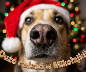 Kartki na Mikołajki 2025