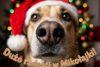 Kartki na Mikołajki 2025