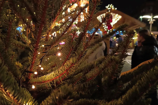 Szczeciiński Jarmark Bożonarodzeniowy