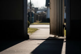 Agresywny amstaff w Wągrowcu. Czy brak kontroli to tylko niedopatrzenie?