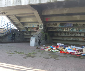 Bałagan w Parku Moczydło po dniu targowym na bazarze Olimpia