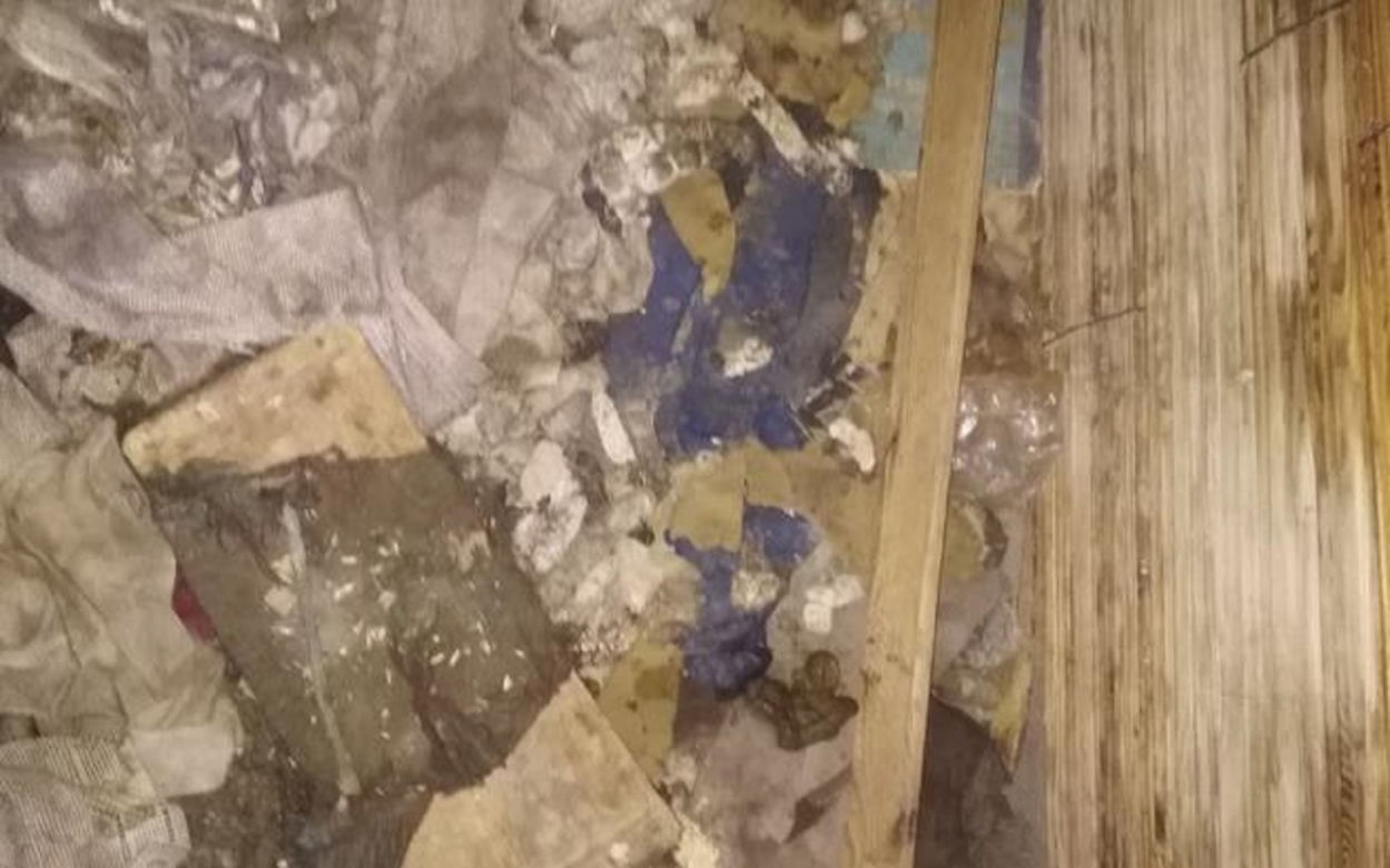 Makabra w Kolbuszowej: MARTWE psy i kilkadziesiąt wygłodzonych! [DRASTYCZNE ZDJĘCIA]