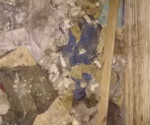 Makabra w Kolbuszowej: MARTWE psy i kilkadziesiąt wygłodzonych! [DRASTYCZNE ZDJĘCIA]
