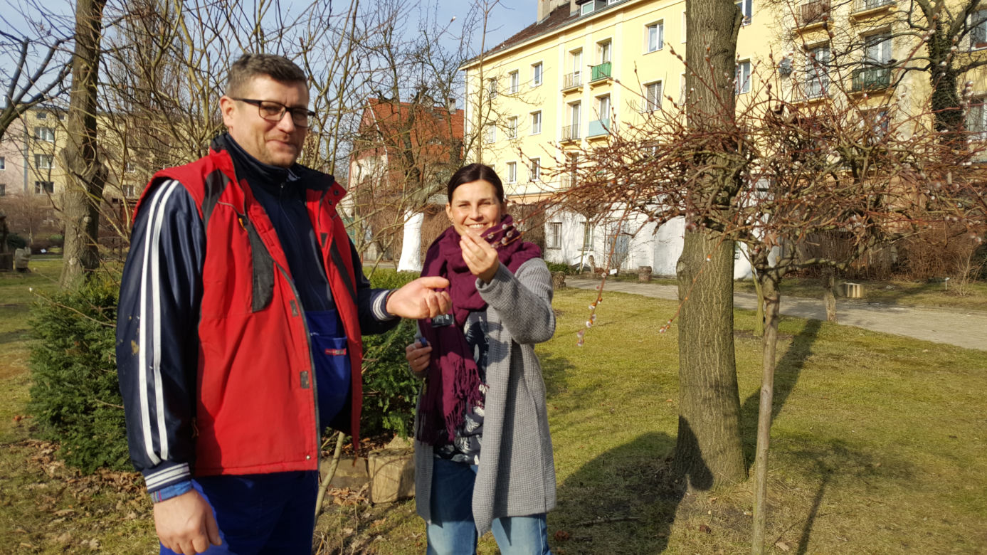 Natura budzi się do życia! W Ogrodzie Botanicznym UKW czuć już wiosnę! [ZDJĘCIA]