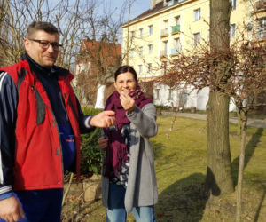 Natura budzi się do życia! W Ogrodzie Botanicznym UKW czuć już wiosnę! [ZDJĘCIA]