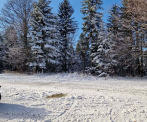 Sezon narciarski w Beskidach. Stoki są naśnieżane