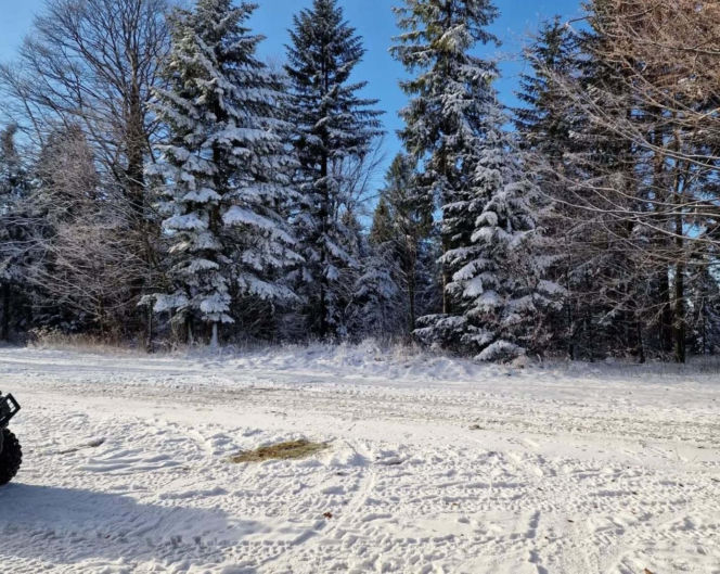 Sezon narciarski w Beskidach. Stoki są naśnieżane