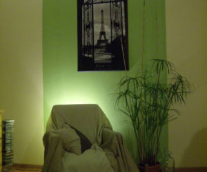 Zdjęcie 2504