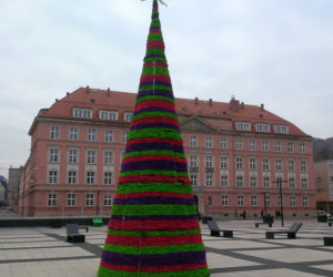 Choinka na placu Nowy Targ