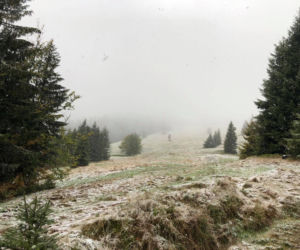 W województwie śląskim spadł pierwszy śnieg! Biały puch pojawił się w Beskidach 