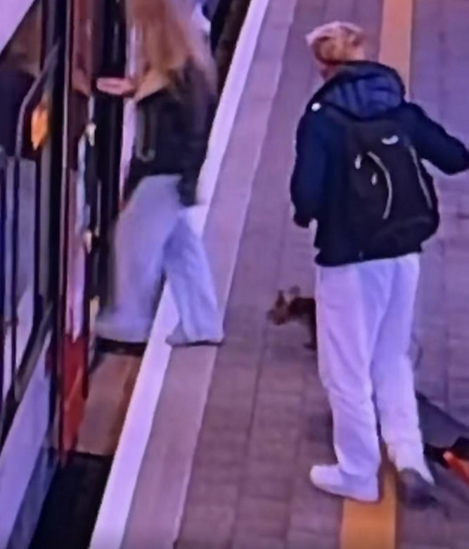 Sam wsiadł do pociągu i pojechał na gapę. Przechadzał się po wagonie i odwiedzał pasażerów