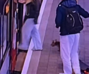 Sam wsiadł do pociągu i pojechał na gapę. Przechadzał się po wagonie i odwiedzał pasażerów