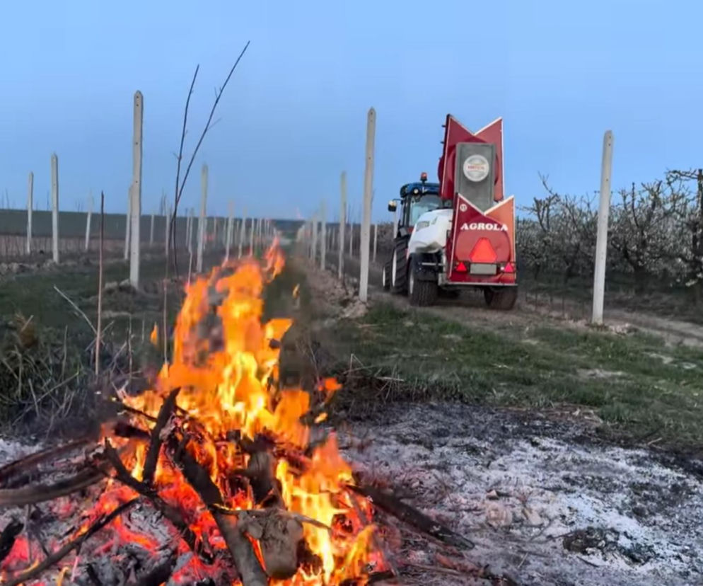 Sadownik z woj. lubelskiego pokazał, jak chroni plony przed zimnem