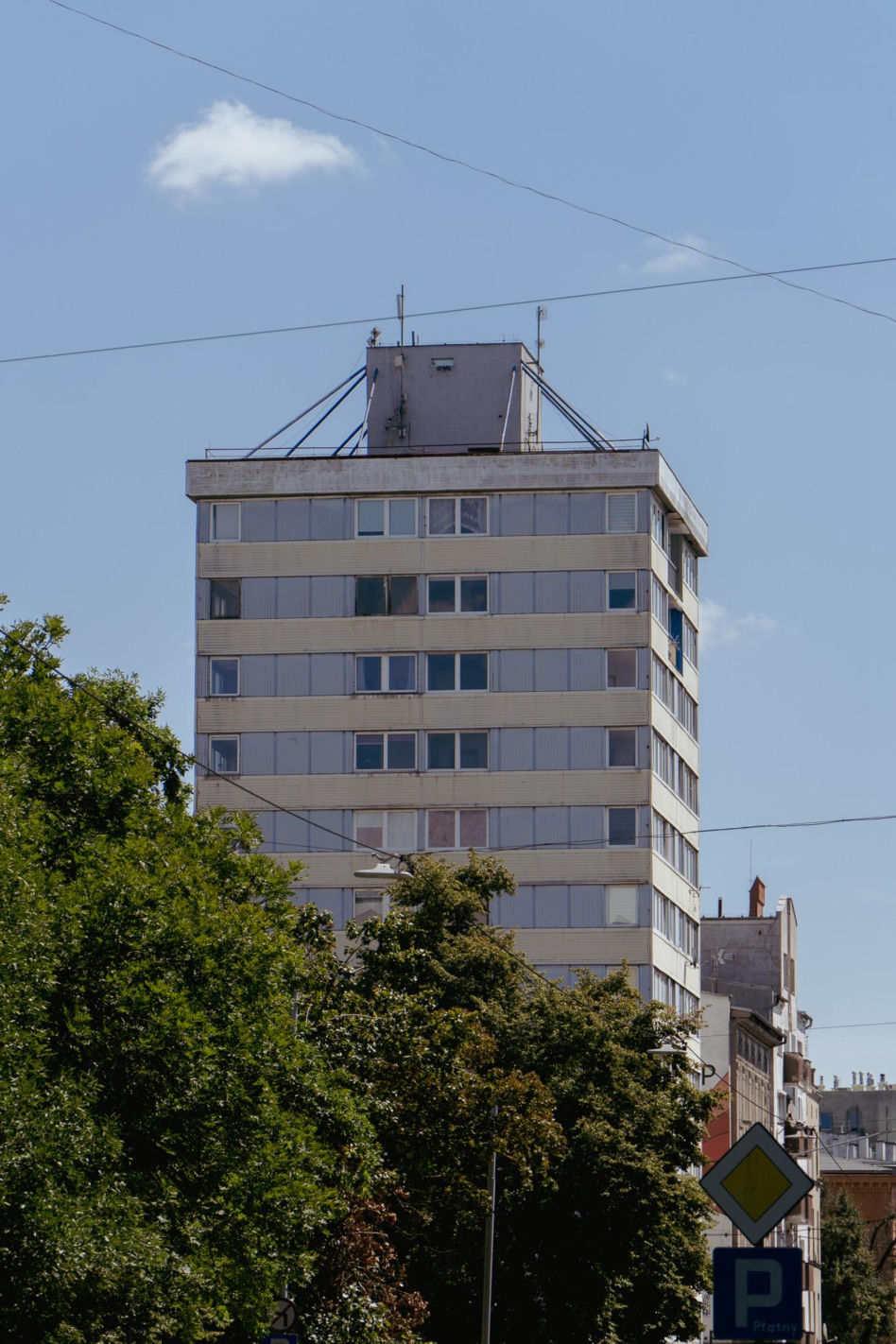 Trzonolinowiec we Wrocławiu