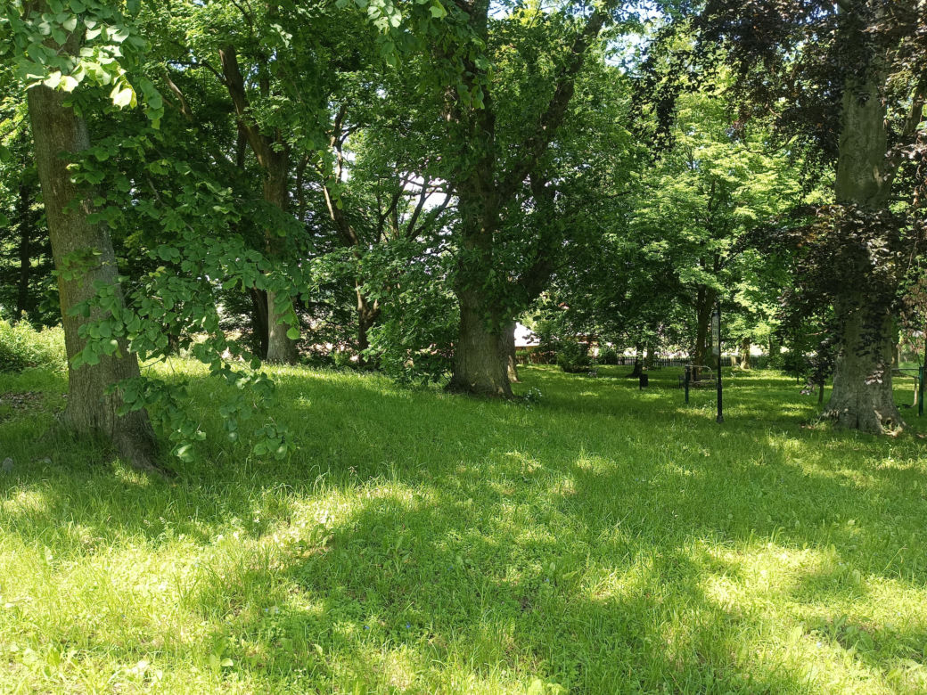 Parki podworskie w powiecie gdańskim
