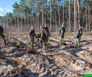 Straż Graniczna i uczniowie posadzili tysiące drzew. Wyjątkowa akcja w Jabłonnie z okazji 35-lecia służby