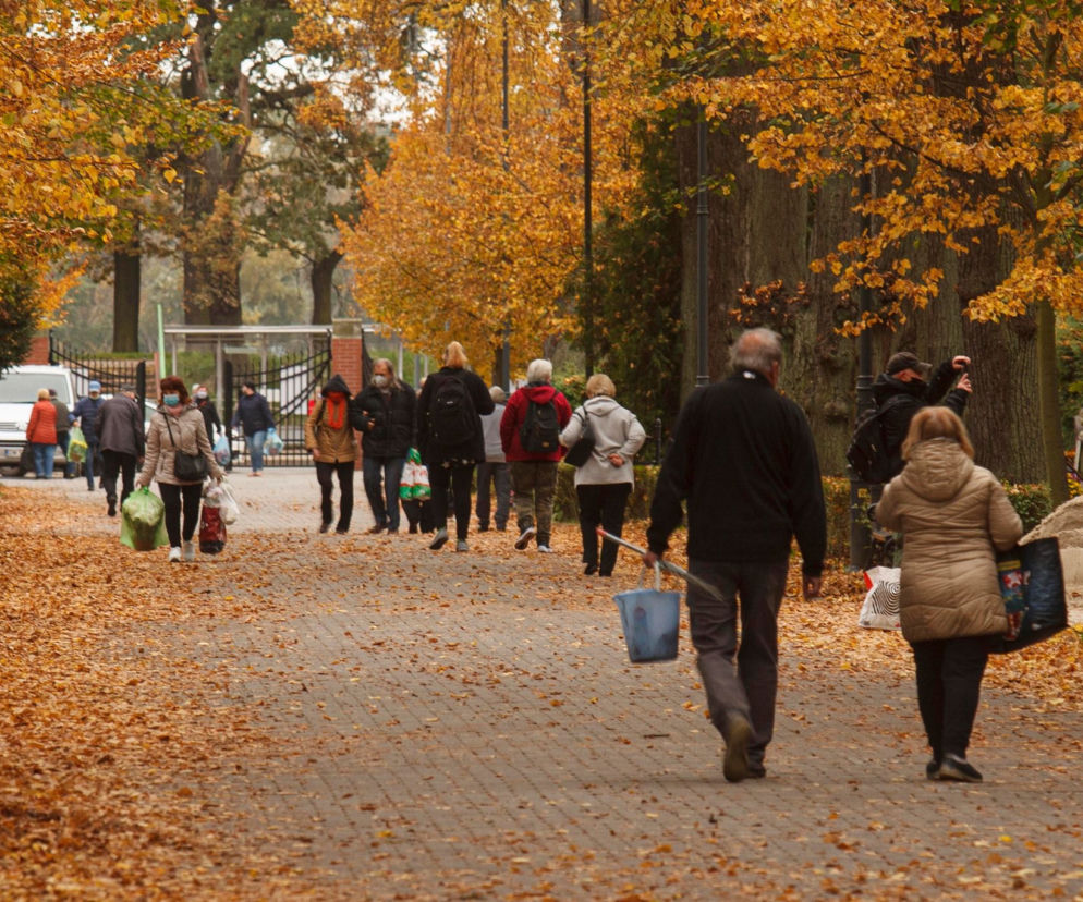 Tłumy na cmentarzu we Wrocławiu