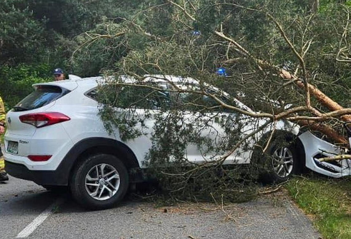 Drzewo spadło na auto na Helu