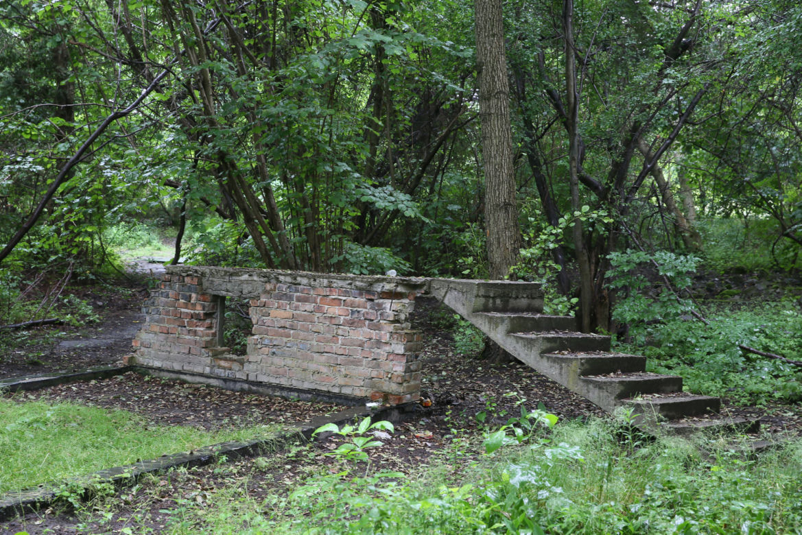 Wytną drzewa żeby zrobić Park Aktywności Rodzinnej. Mieszkańcy Wawra wściekli