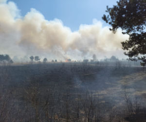 Spłonęły 34 hektary! 150 strażaków gasiło pożar traw w Brodach
