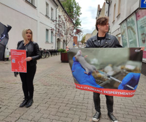 Fundacja VIVA protestuje w Lesznie