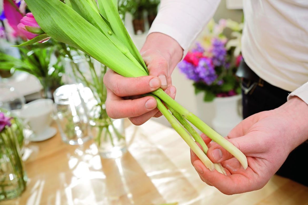 Bukiet z tulipanów krok po kroku