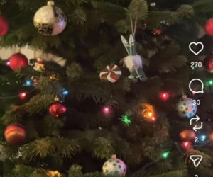 Jacek Rozenek - święta z żoną i synami