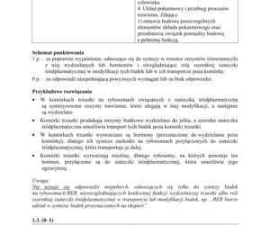 Matura 2019 z biologii [ARKUSZE CKE, ODPOWIEDZI]
