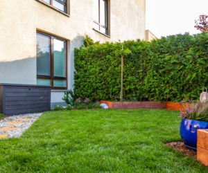 Ogródek przy mieszkaniu w bloku