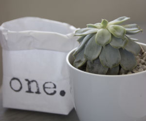 DIY: papierowa torba osłonka na doniczkę