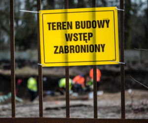 Nielegalna wycinka drzew w parku Steffensów w Gdańsku