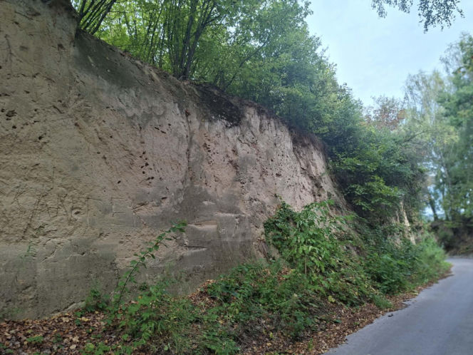 Udziców Świętokrzyskie. Wąwóz