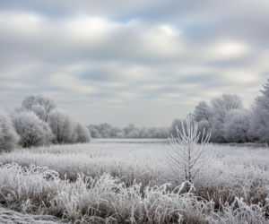Bydgoszcz, 20.11.2025. Nagły atak zimna. Czy to zapowiedź prawdziwej zimy?