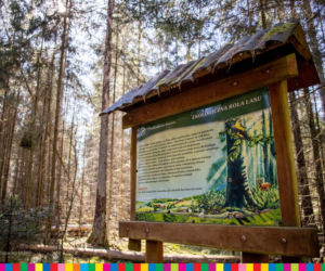 Rezerwat przyrody Krzemianka