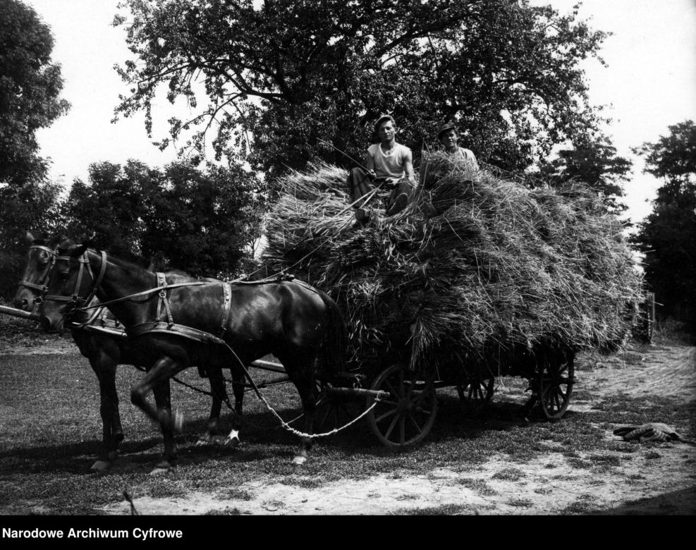 Tak mieszkało się na polskiej wsi prawie 100 lat temu. Zobaczcie te niezwykłe zdjęcia!