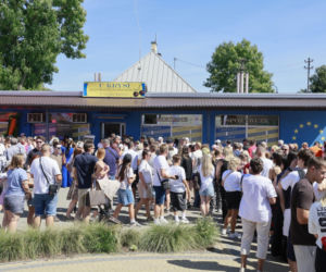 Tłumy ruszyły na koncert TVP! Markowska, Blanka i Bednarek porwali publiczność