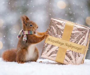 E-kartki na święta Bożego Narodzenia. Piękne grafiki do skopiowania i wysłania