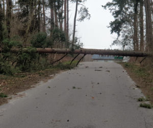 Szkody po Orkanie Eunice. Zrywało dachy, wyrywało grube drzewa, brakowało prądu