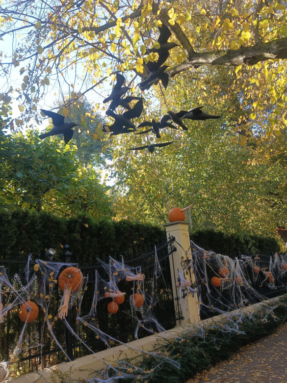 Willa na Jaśkowej Dolinie w Gdańsku znów straszy! Tegoroczny motyw Halloween budzi niepokój
