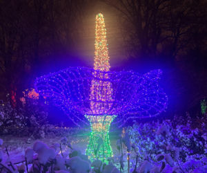 MagicznyBotaniczny 2025/2026 w Warszawie