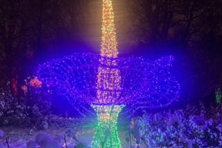 MagicznyBotaniczny 2025/2026 w Warszawie