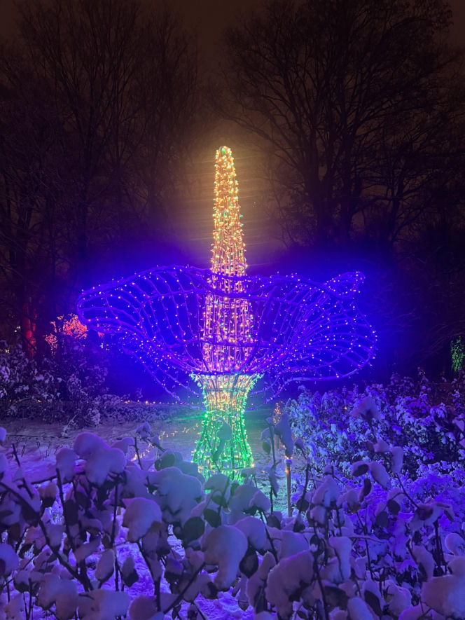 MagicznyBotaniczny 2025/2026 w Warszawie